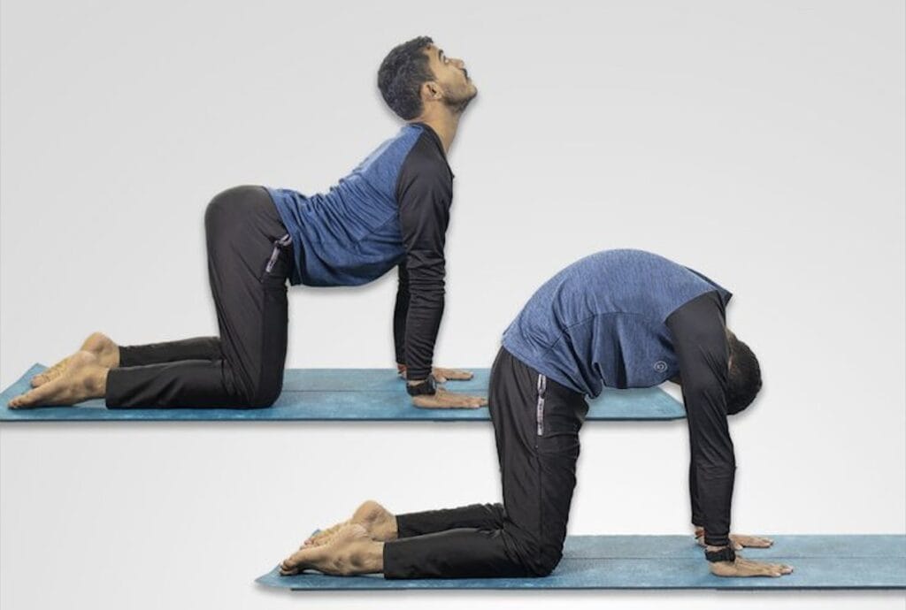 Cat-cow posture is great for back pain