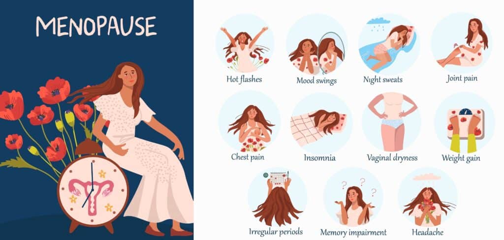 Learn how to help your body navigate menopause